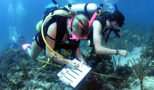 know-the-career-detail-about-marine-biology-in-hindi