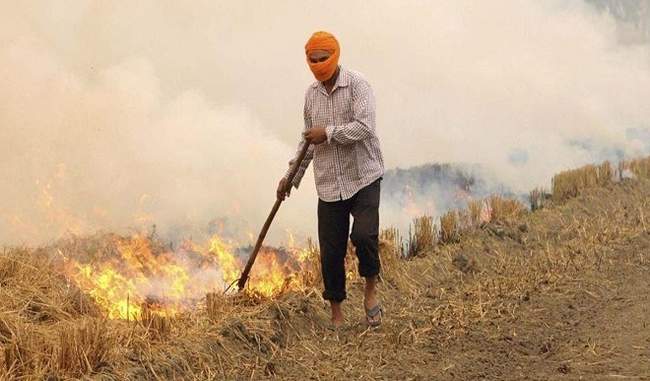 farmers-fined-for-stubble-burning