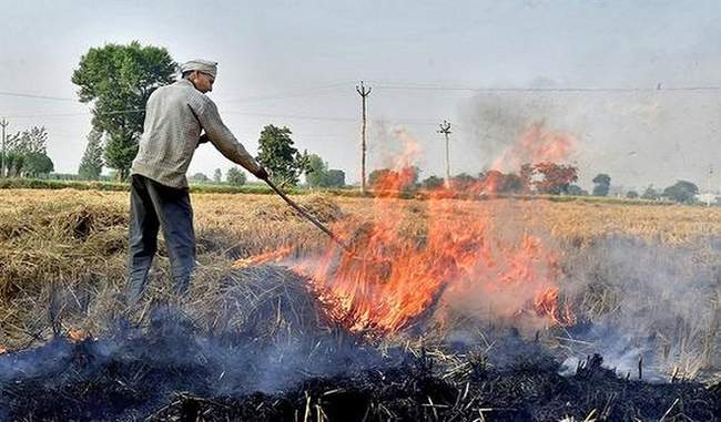 up-to-40-percent-more-stubble-burning-than-last-year