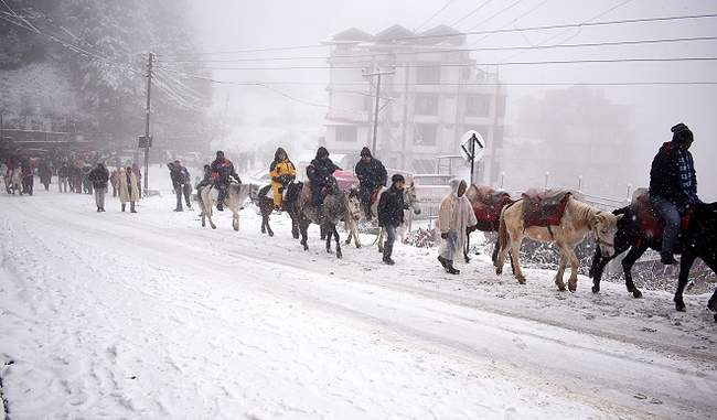 tourists-are-happy-to-see-snowfall-snowcovered-plains-at-the-main-tourist-spots-in-himachal