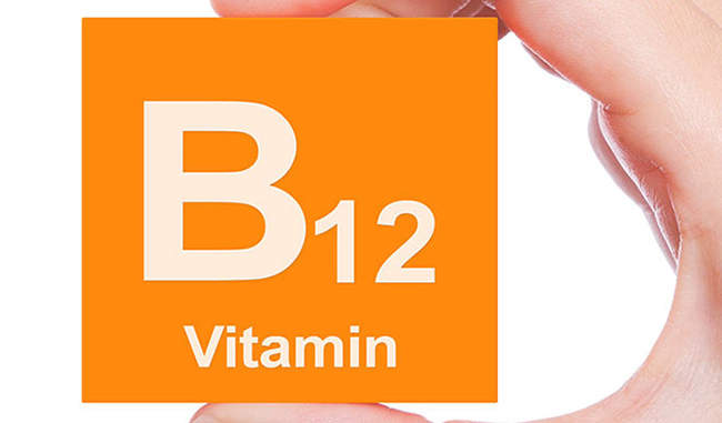 plant-extracts-may-be-helpful-in-better-use-of-vitamin-b12