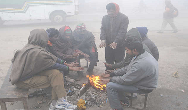 cold-wave-continues-in-haryana-and-punjab-narnaul-remains-the-coldest-place