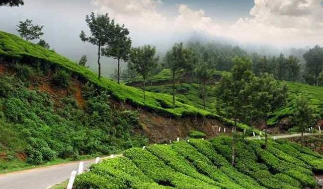 the-idyllic-hill-station-munnar-famous-for-its-tea-estates