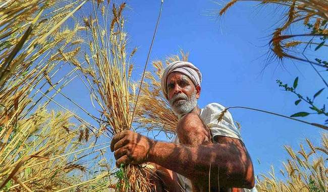 maharashtra-farmers-whose-crop-loan-exceeds-rs-2-lakh-ineligible-for-waiver