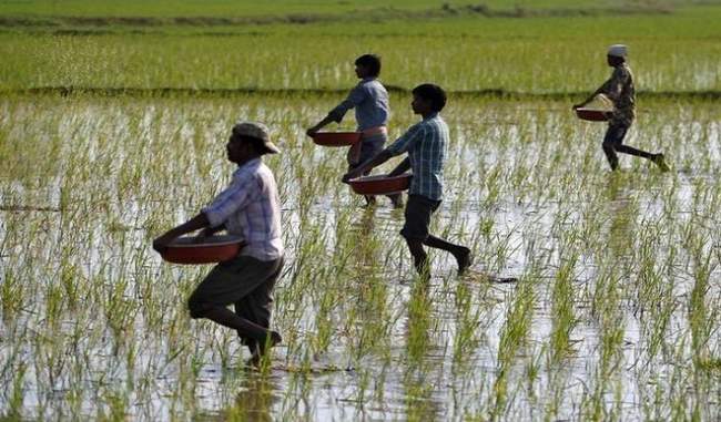 the-amount-of-first-installment-of-pm-kisan-plan-will-be-available-in-march