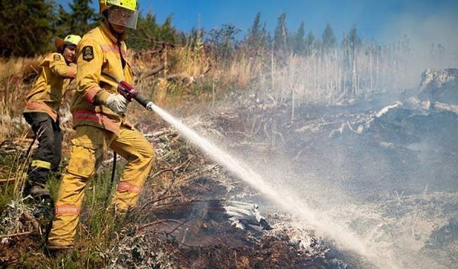 dangerous-fire-in-new-zealand-s-forest-no-possibility-of-being-able-to-control