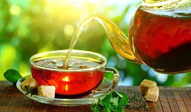 health-benefits-of-basil-tea-in-hindi