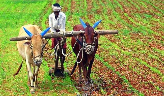 in-farmer-honor-fund-scheme-government-transferred-2-6-crore-farmers-account-5215-rupee