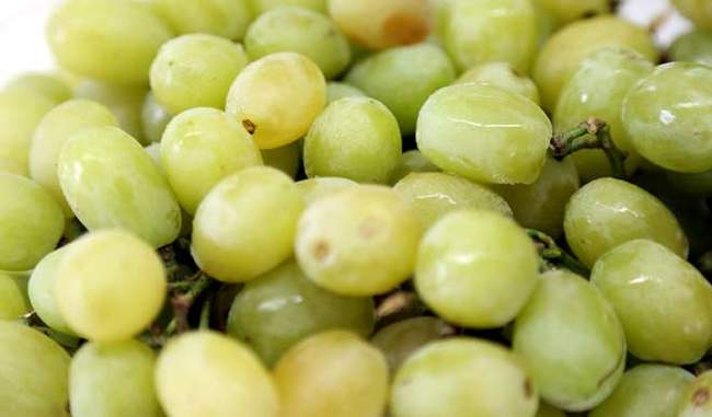 health-benefits-of-grapes-in-hindi