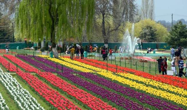 tulip-garden-will-be-open-in-march-end