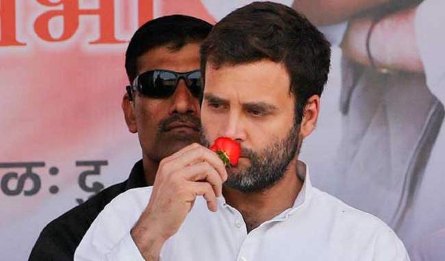 rahul-gandhi-is-amul-baby-now-there-is-no-doubt-about-this-cpm-leader