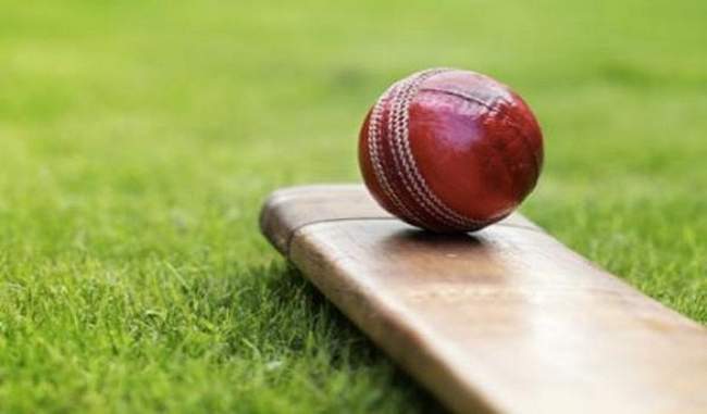 these-three-players-associated-with-the-ferrit-cricket-bash-league-will-give-coaching-to-the-amateur-cricketers