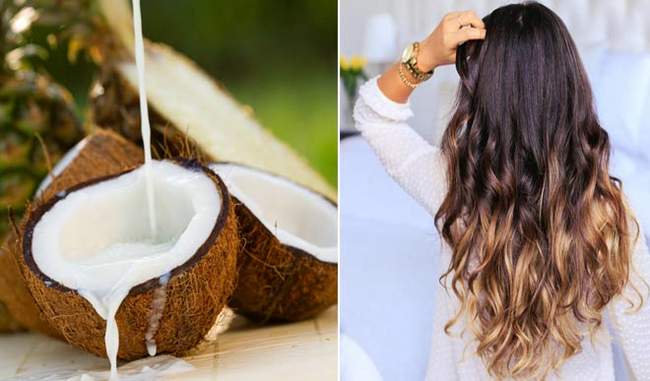 coconut-milk-is-beneficial-for-hair-fall-in-hindi