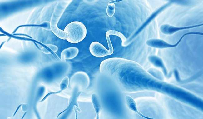 scientists-find-genetic-reasons-for-infertility-in-indian-men