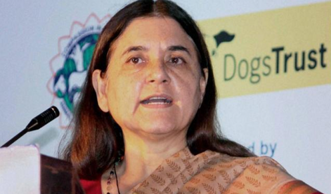 maneka-done-a-wise-comment-against-bsp-without-the-notes-mayawati-does-not-live