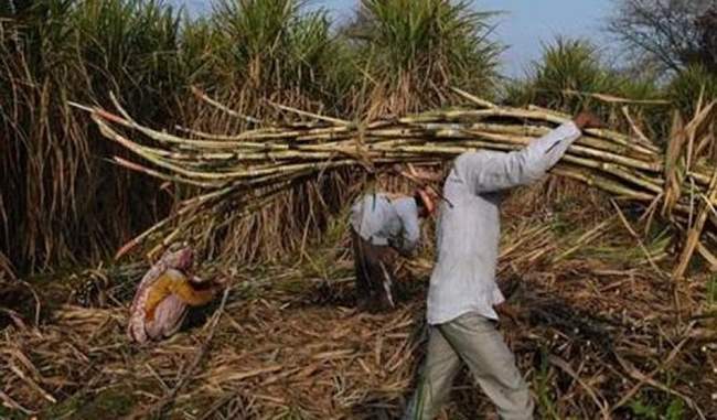 it-is-no-more-jai-kisan-sugarcane-farmers-in-saharanpur