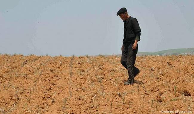 in-north-korea-worst-drought-in-decades-adds-to-food-crisis