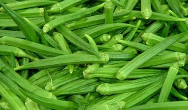 know-the-health-benefits-of-ladyfinger-in-hindi