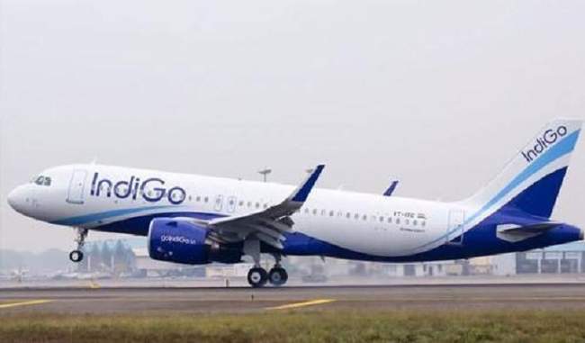 indigo-ceo-no-change-in-our-strategy-on-increasing