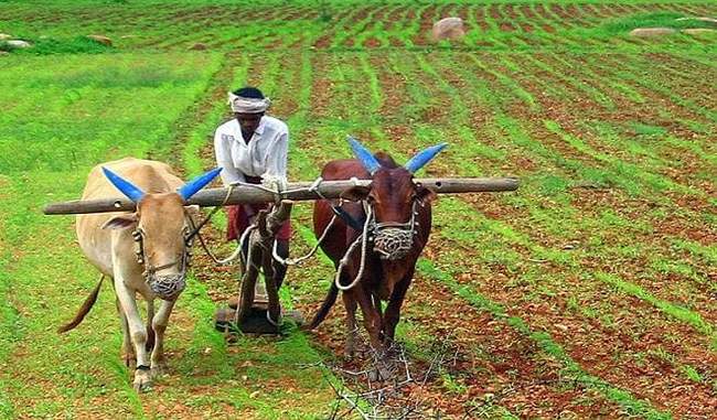 more-than-51-thousand-farmers-have-been-given-21-crore-as-drought-relief-in-maharashtra