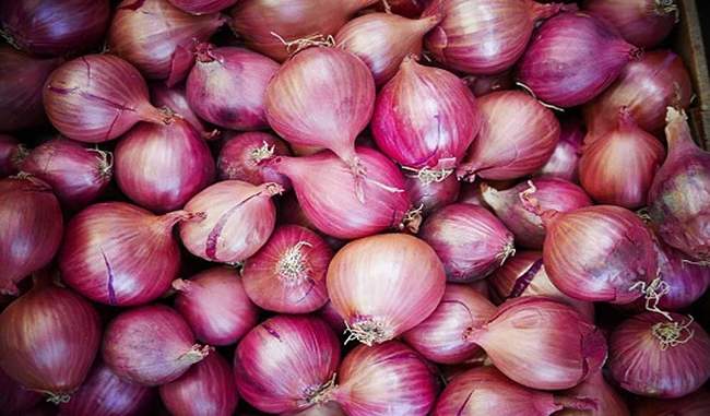 to-keep-the-onion-price-low-the-government-is-making-buffer-stocks-of-50000-tonnes