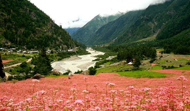 a-travel-to-shimla-to-sangla-valley