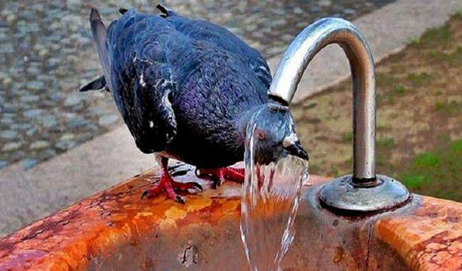 delhi-people-will-not-be-relieved-from-heat-loon-outbreak-will-continue-throughout-the-day
