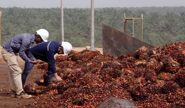 solvent-extractors-association-asks-to-hike-import-duty-on-malaysian-refined-palm-oil