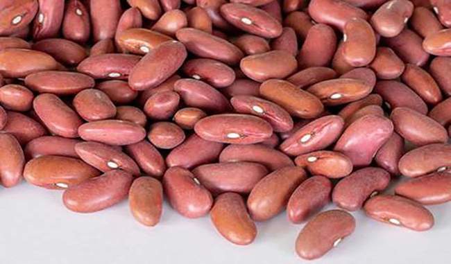 know-the-health-benefits-of-kidney-beans-in-hindi