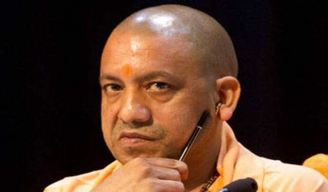 yogi-stern-said-fast-action-in-cases-of-crime-and-corruption