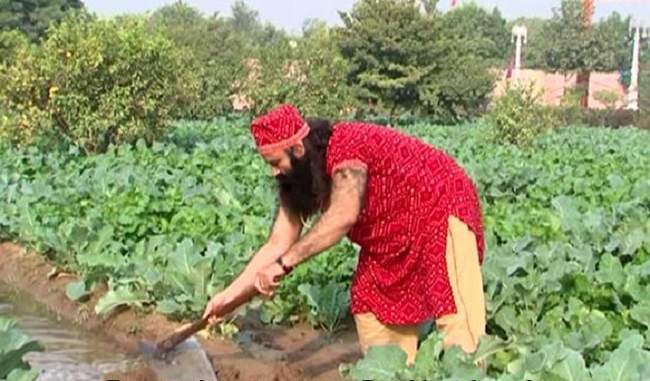 ram-rahim-ready-for-electoral-cultivation-waiting-for-governments-assent