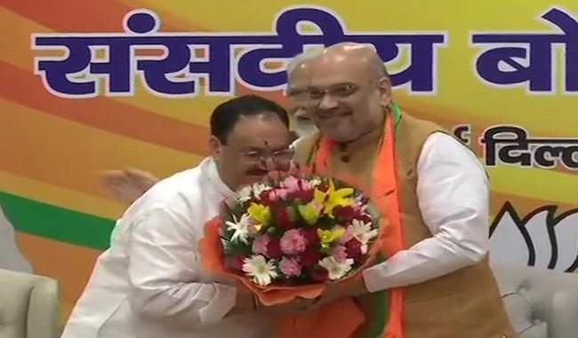 jp-nadda-appointed-bjp-working-president