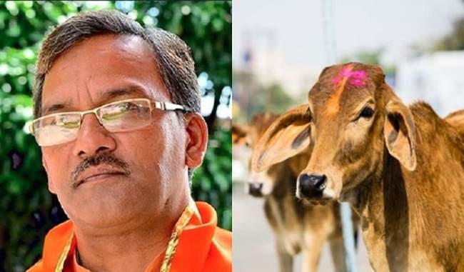 cow-is-the-only-animal-to-release-oxygen-rawat