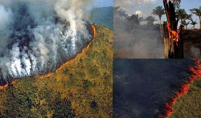 Amazon के जंगल में लगी 6 साल की सबसे भयावह आग, हर जगह छाया अंधेरा