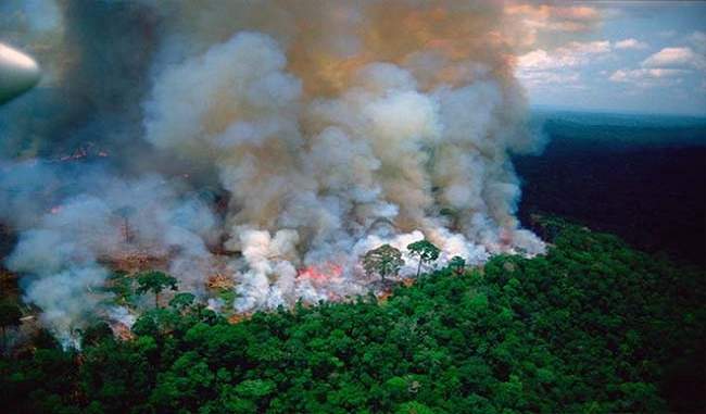 g7-announced-to-help-brazil-to-save-the-amazon-jungle