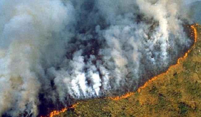 amazon-rainforest-fire-brazil-ignore-g7-help