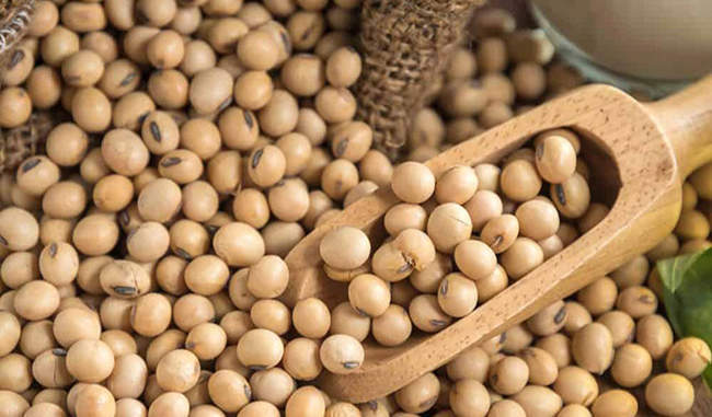 harmful-effects-of-soybean-for-men