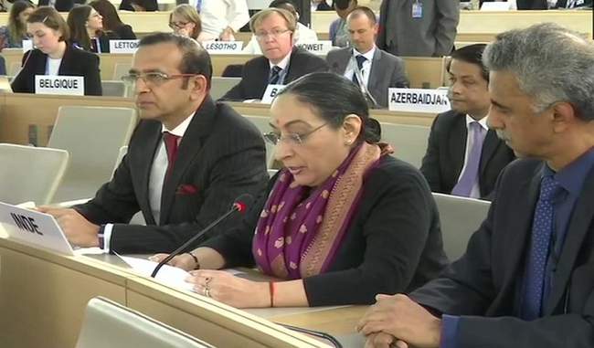 india-stopped-speaking-of-pak-in-unhrc-said-pakistan-running-commentary-of-lies