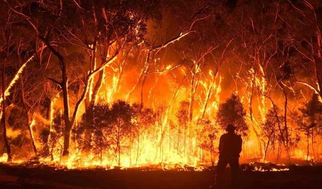 rain-extinguished-forest-fire-in-eastern-australia