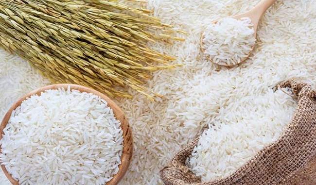 मजबूत हुए भारत-ब्राजील के व्यापारिक रिश्तें, मोदी सरकार करेगी गेहूं और चावल का निर्यात