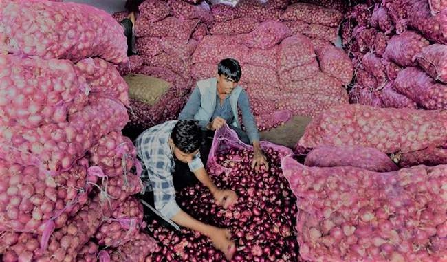 five-thousand-tonnes-of-onion-import