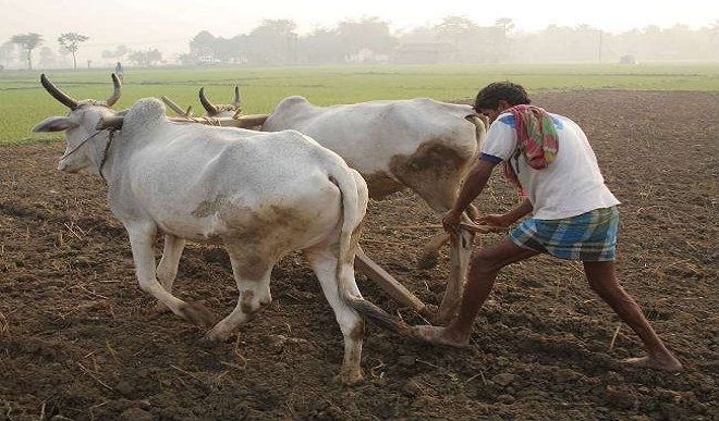 agricultural