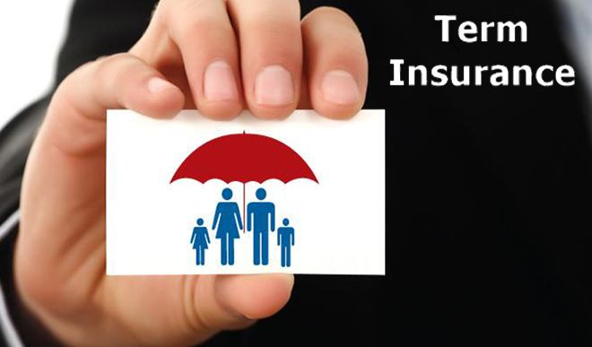 term insurance policy