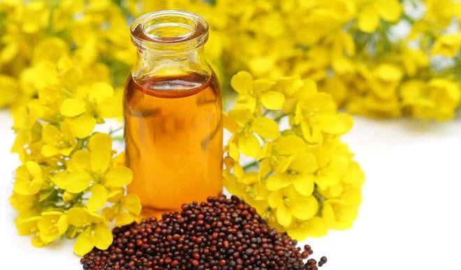 Festival demand mustard oil improves