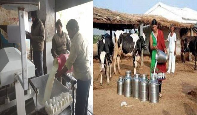 milk cooperative societies