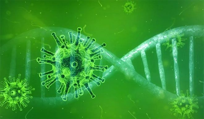 कोरोना वायरस में जीनोमिक भिन्नता की निगरानी के लिए नई पहल