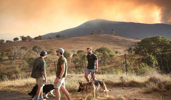 australia-s-capital-and-southwest-areas-threatened-by-wild-fire