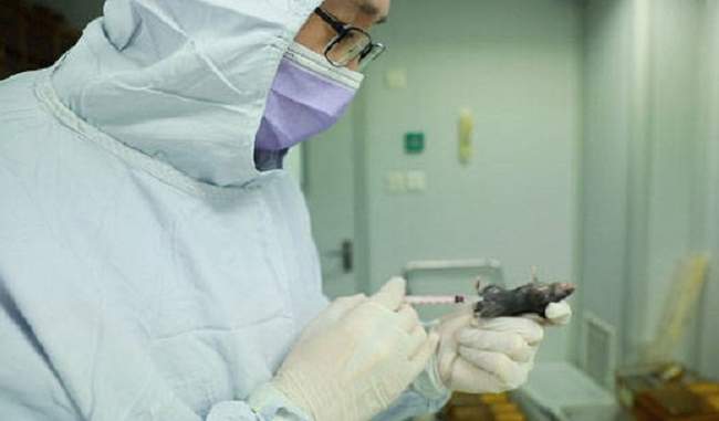 british-scientists-prepare-coronavirus-vaccine-test-done-on-mice