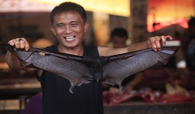 bats-mice-and-snakes-selling-in-indonesia-s-wildlife-market-despite-corona-s-warning