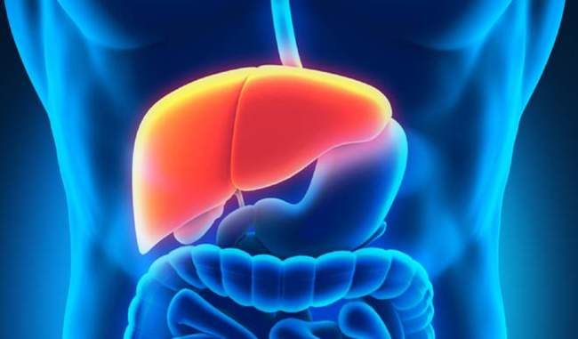 know-the-important-facts-about-liver-transplant-in-hindi